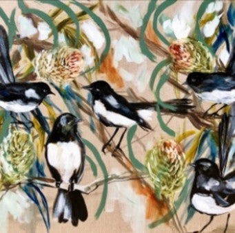 Coaster Willy Wagtail