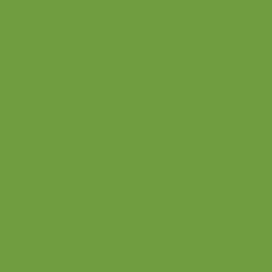 Kc 12x12 Weave Cardstock - Lime