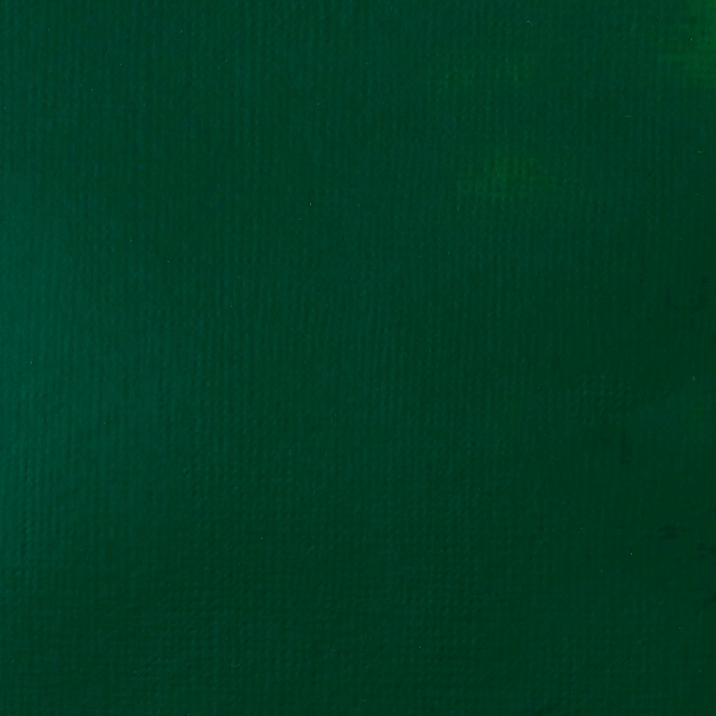 Liquitex Basics Acrylic 118ml Phthalo Green