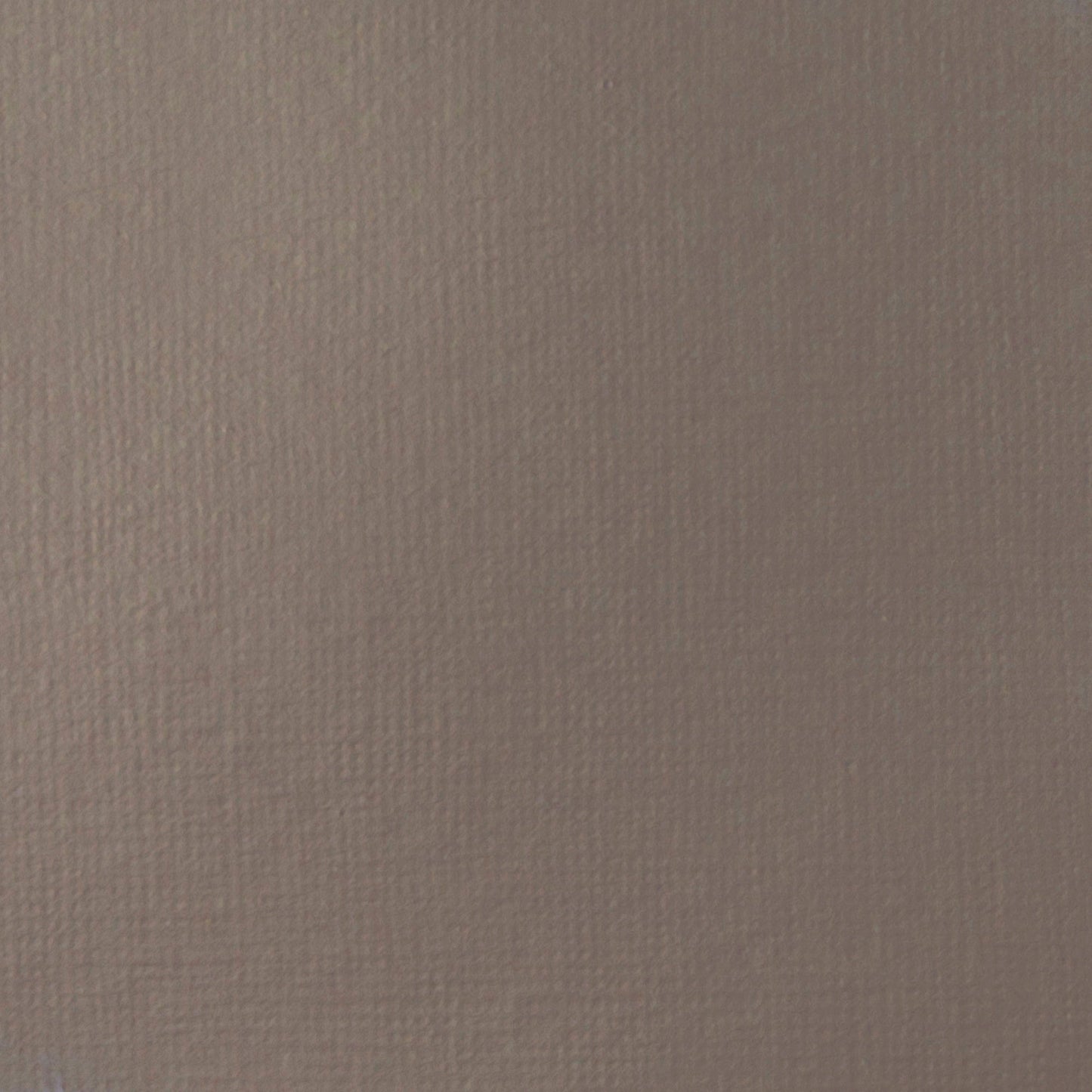 Liquitex Basics Acrylic 118ml Neut Gray Value 5