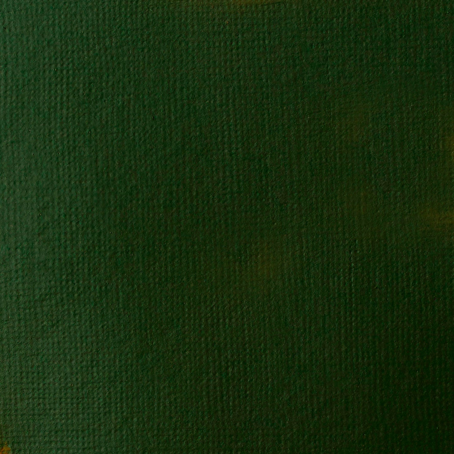 Liquitex Basics Acrylic 118ml Hooker's Green