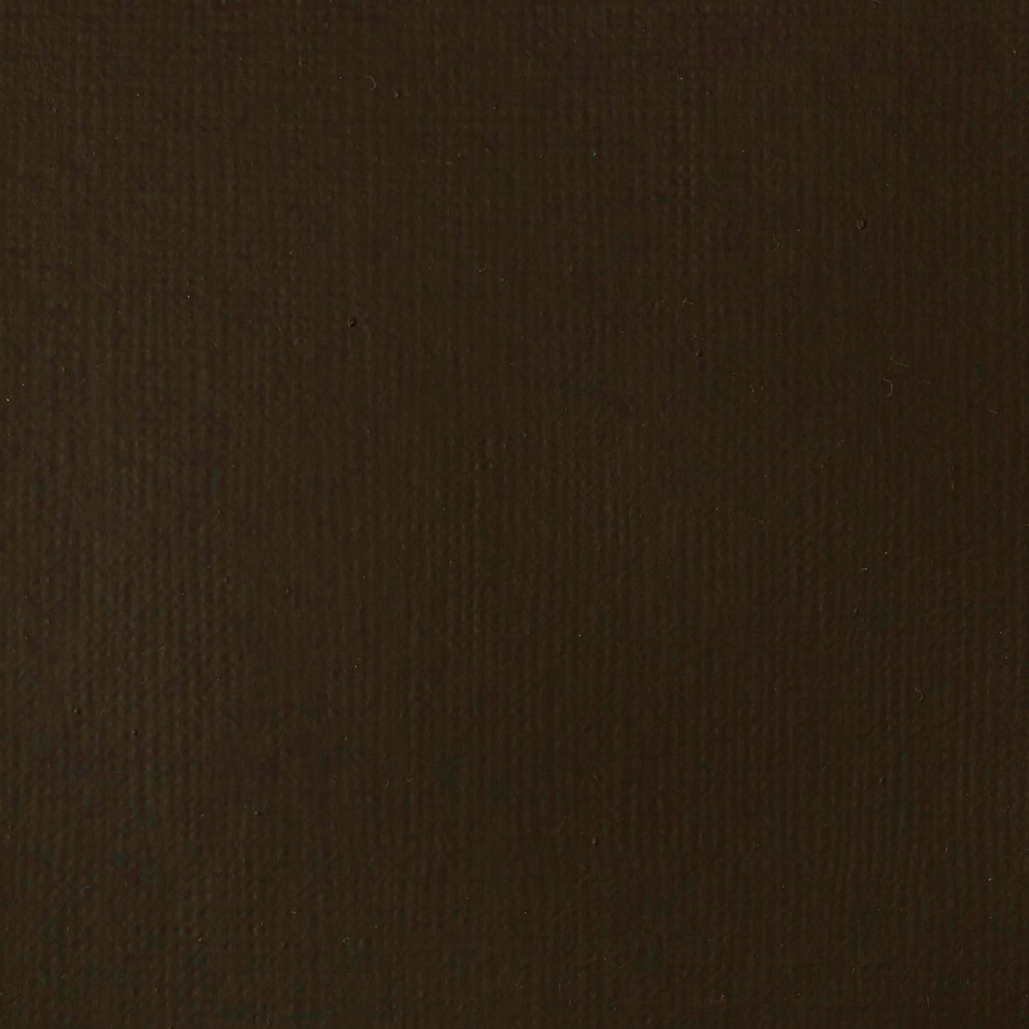 Liquitex Basics Acrylic 118ml Raw Umber
