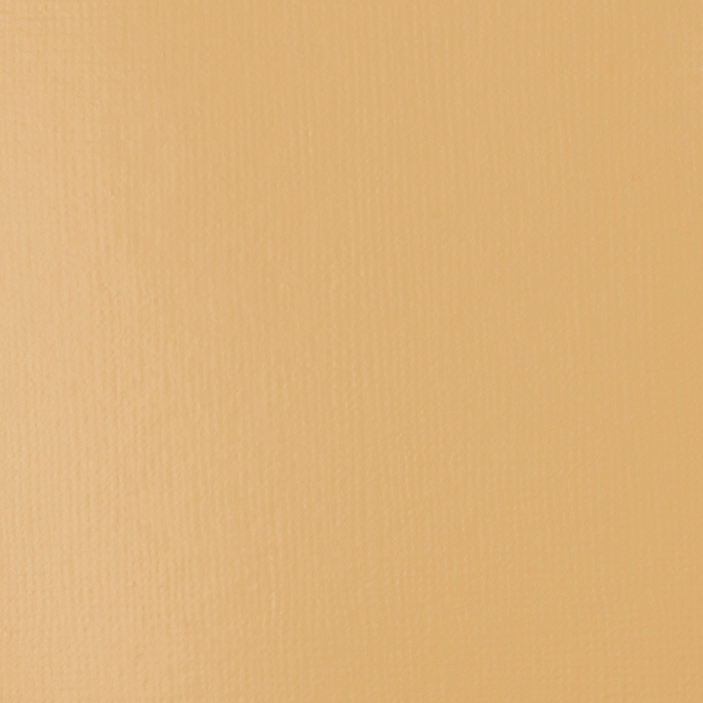Liquitex Basics Acrylic 118ml Unbleached Titanium