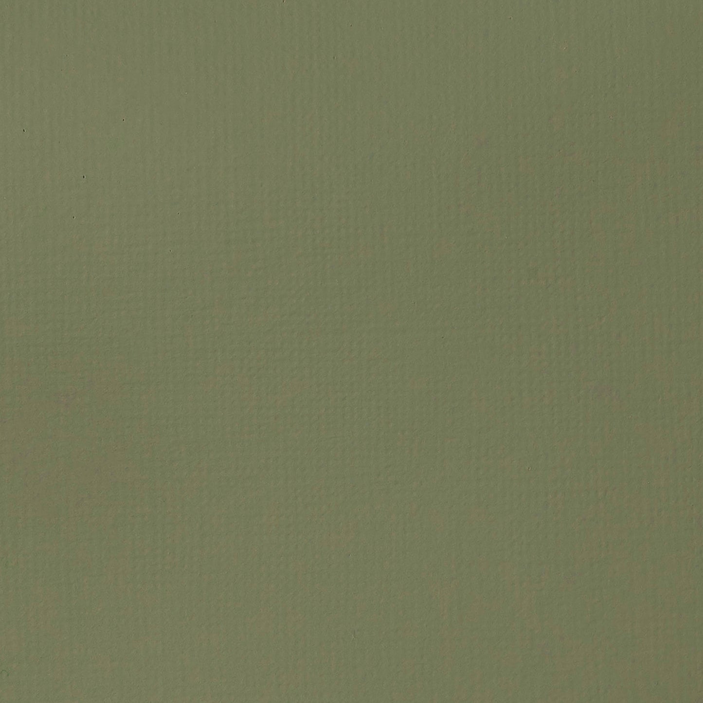 Liquitex Basics Acrylic 118ml Green Gray