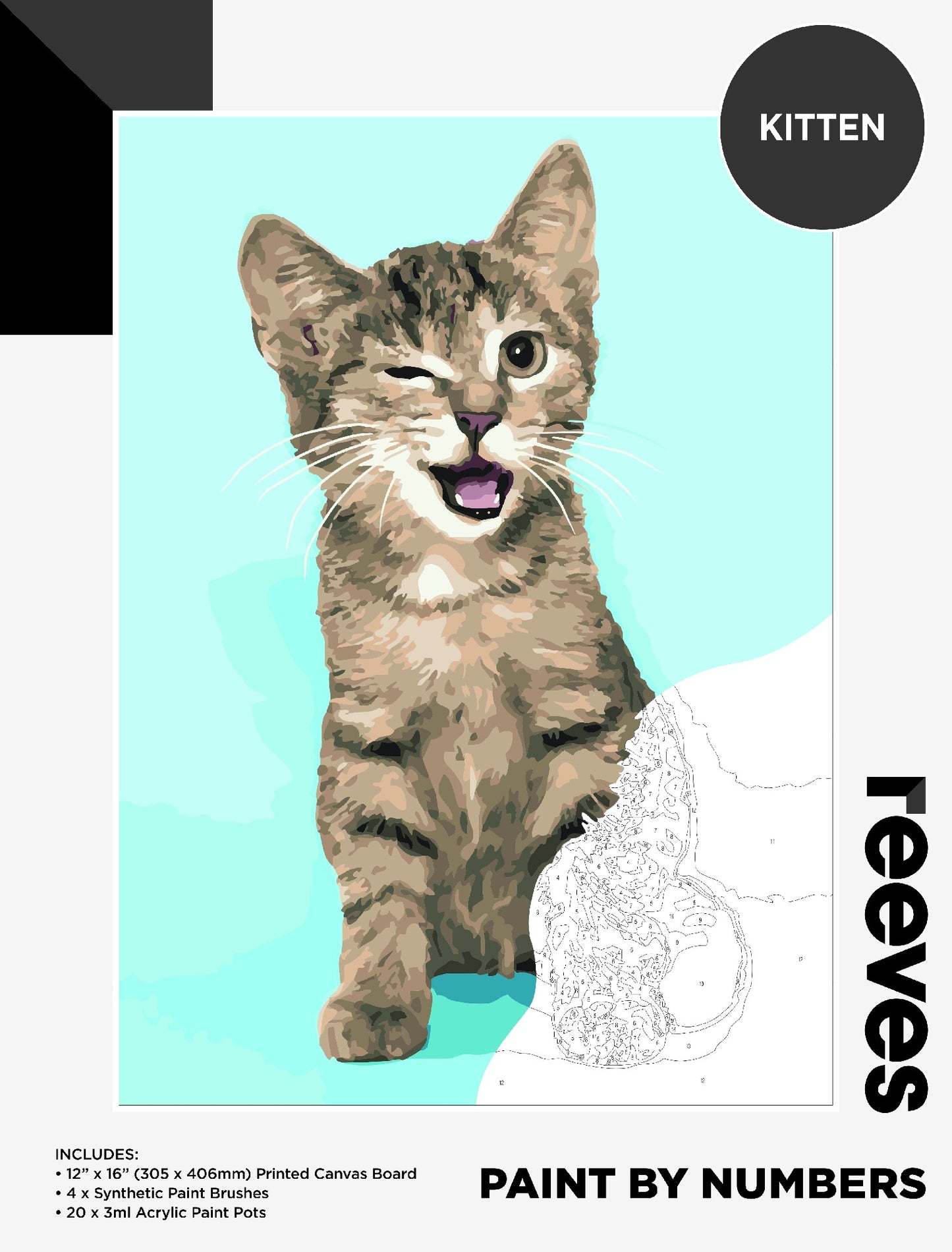 Reeves Paint By Numbers 12X16INCH KITTEN