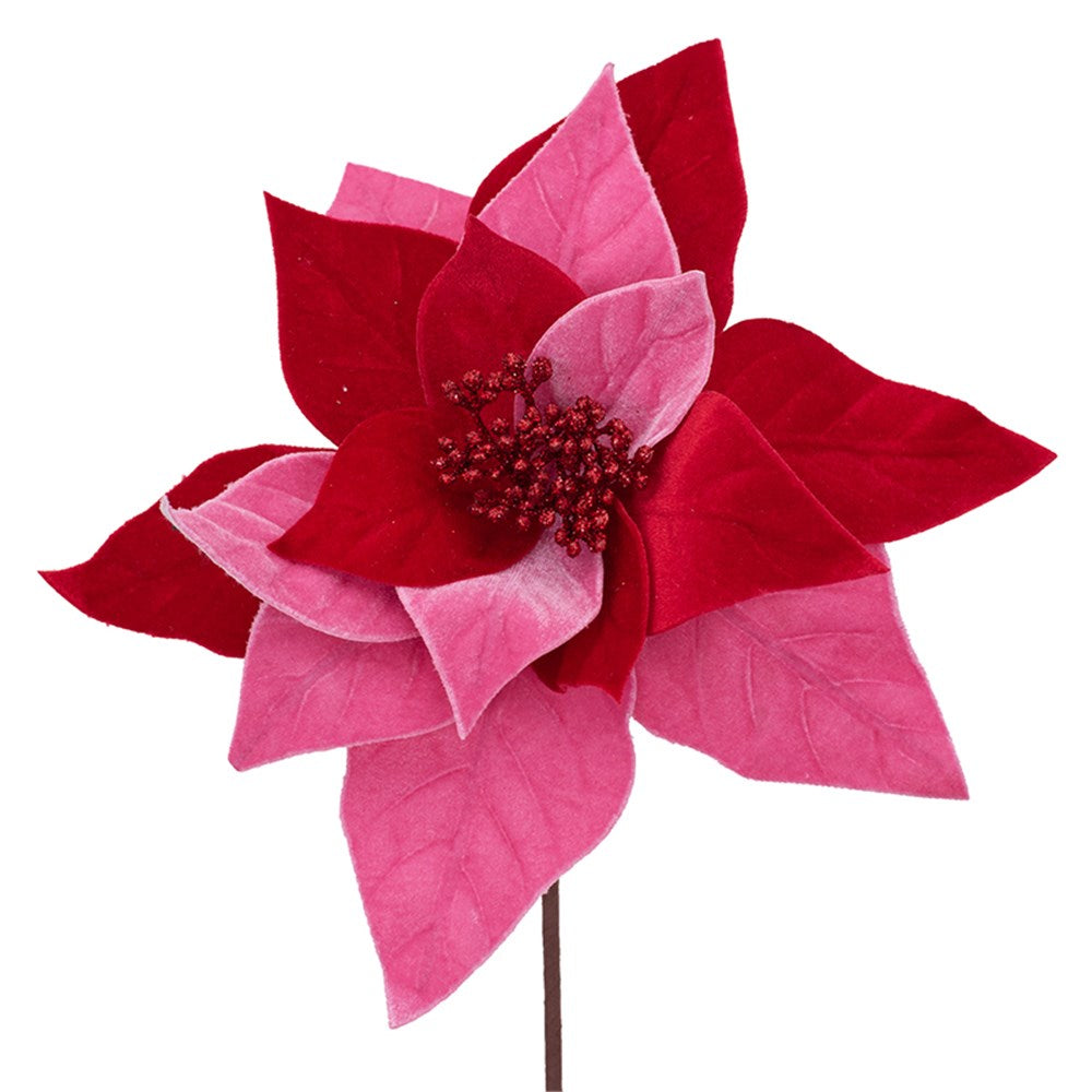28cm Red & Candy Pink Poinsettia W/50cm Stem