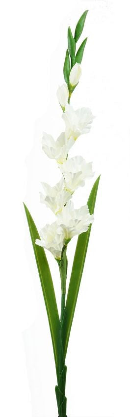 Gladiolus Stem 91cm Cream