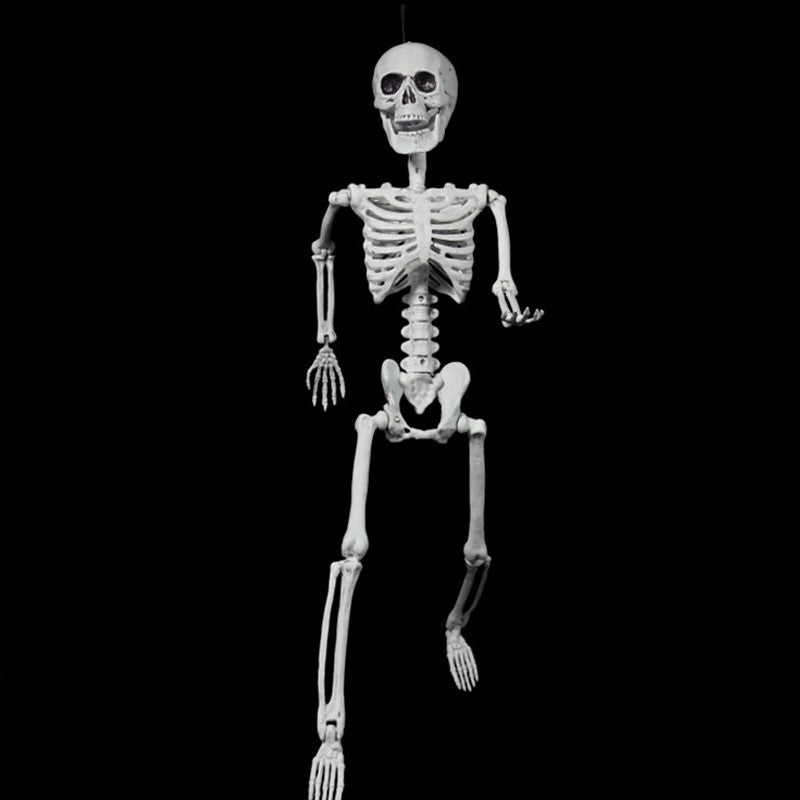 Halloween Posable Skelaton 60CM