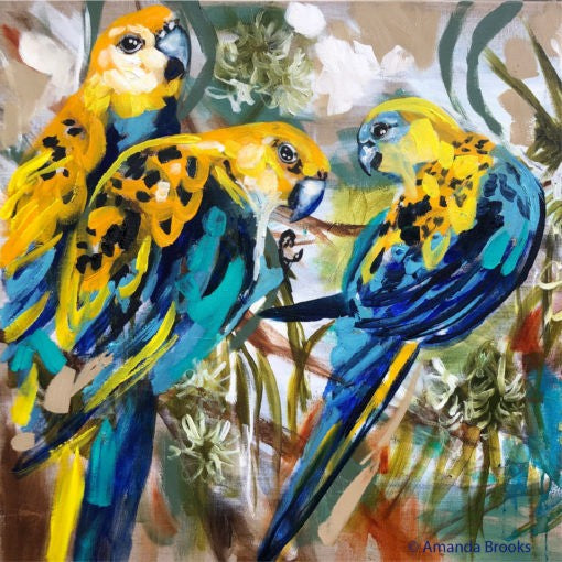 Coaster - Golden Rosella