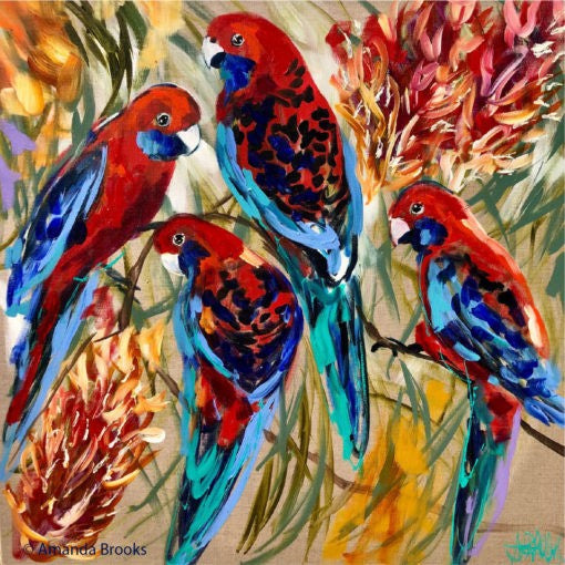 Coaster Crimson Rosellas
