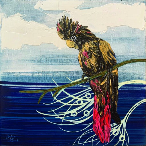 Coaster - Red Tailed Black Cockatoo