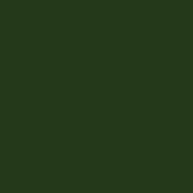 Kc 12x12 Weave Cardstock - Jungle