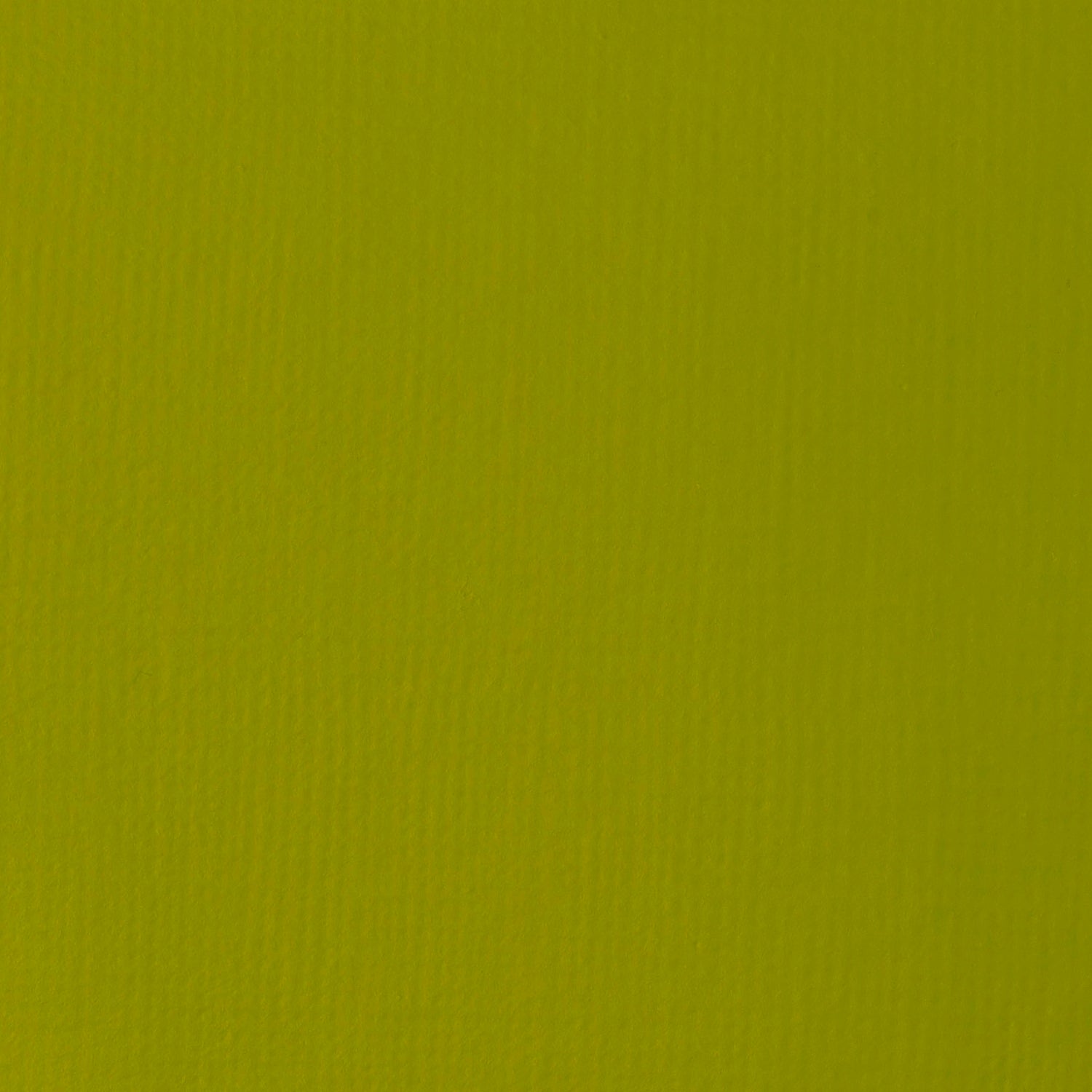 Liquitex Basics Acrylic 118ml Light Olive Green