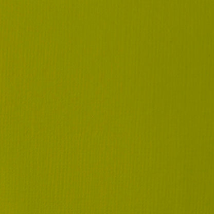 Liquitex Basics Acrylic 118ml Light Olive Green