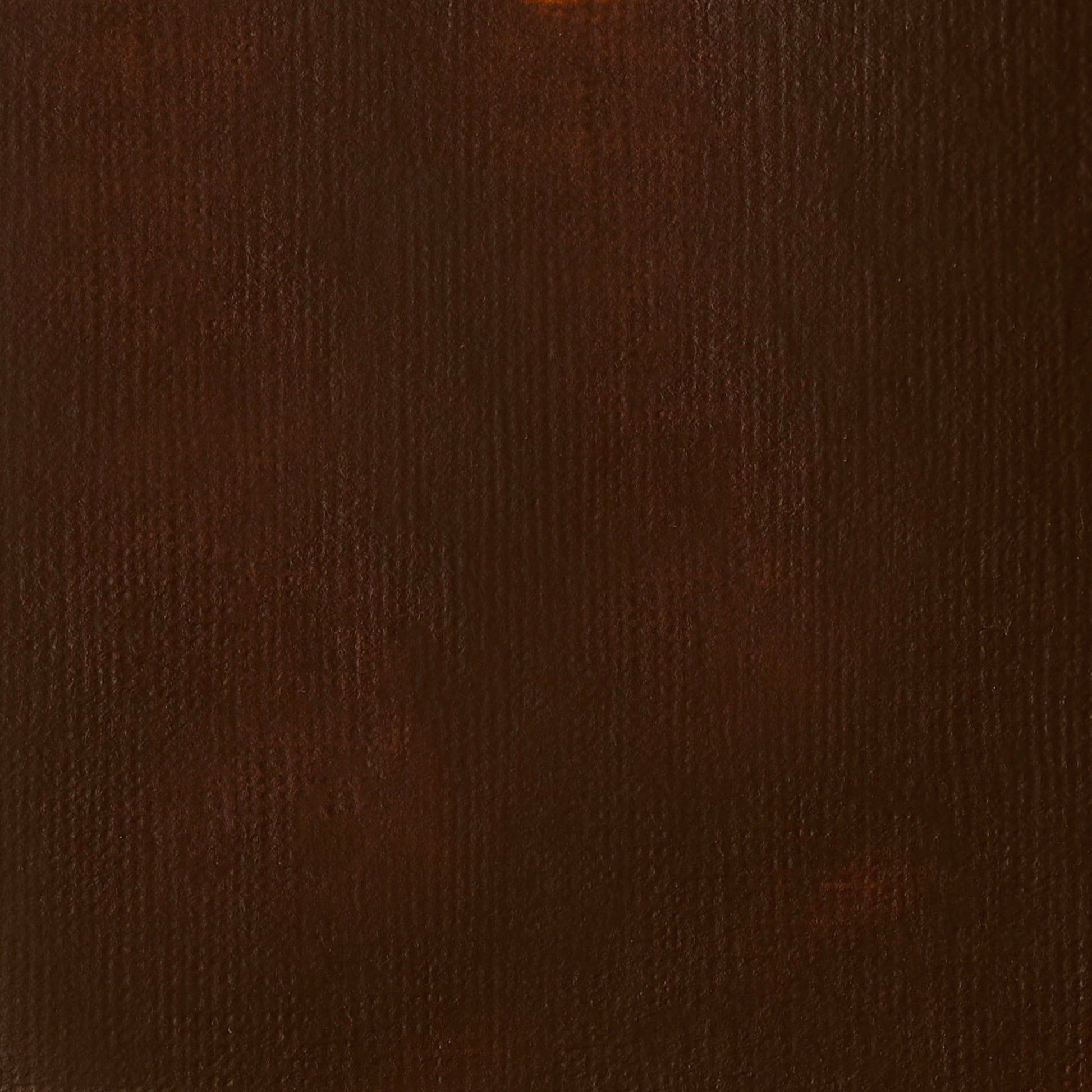 Liquitex Basics Acrylic 118ml Burnt Umber