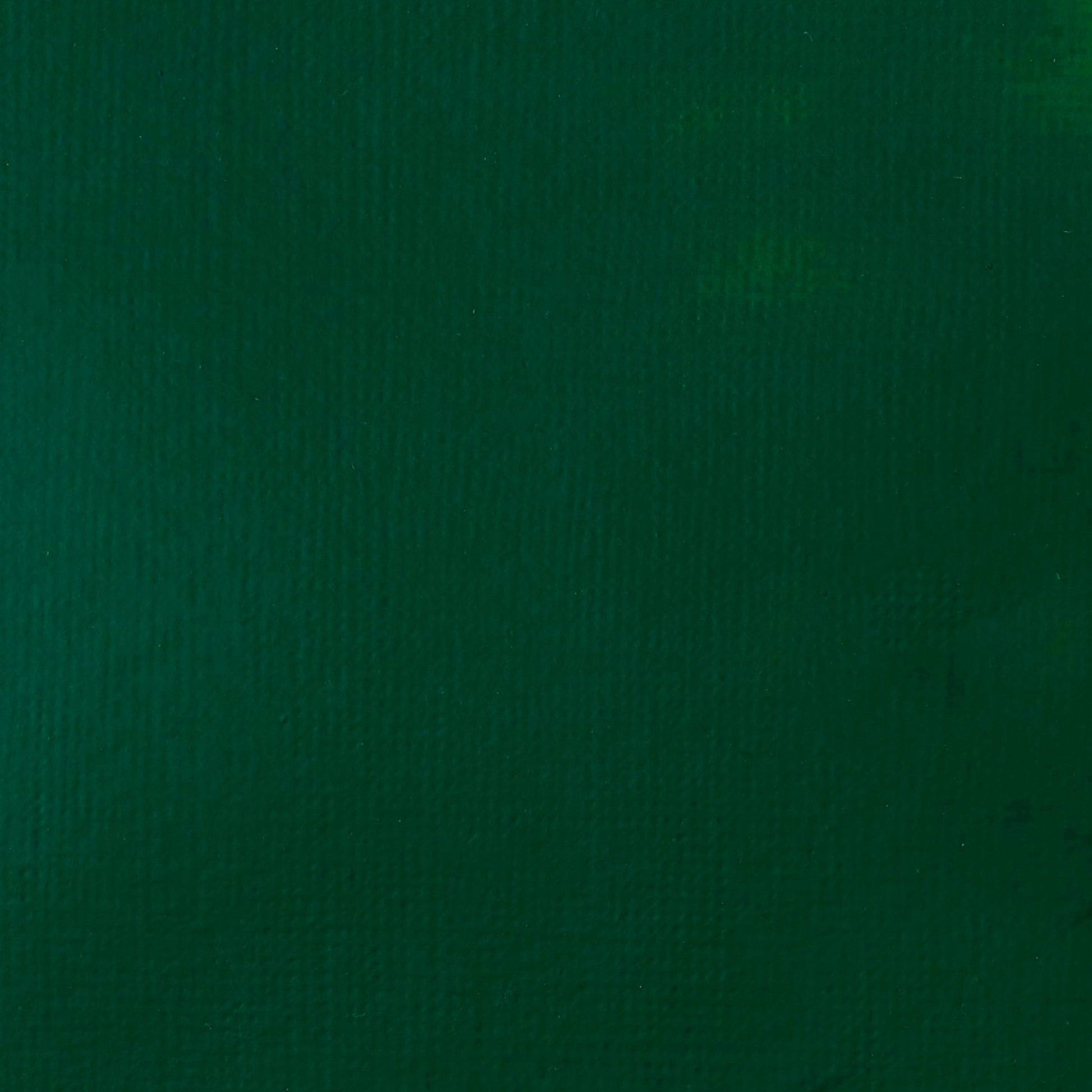 Liquitex Basics Acrylic 118ml Phthalo Green