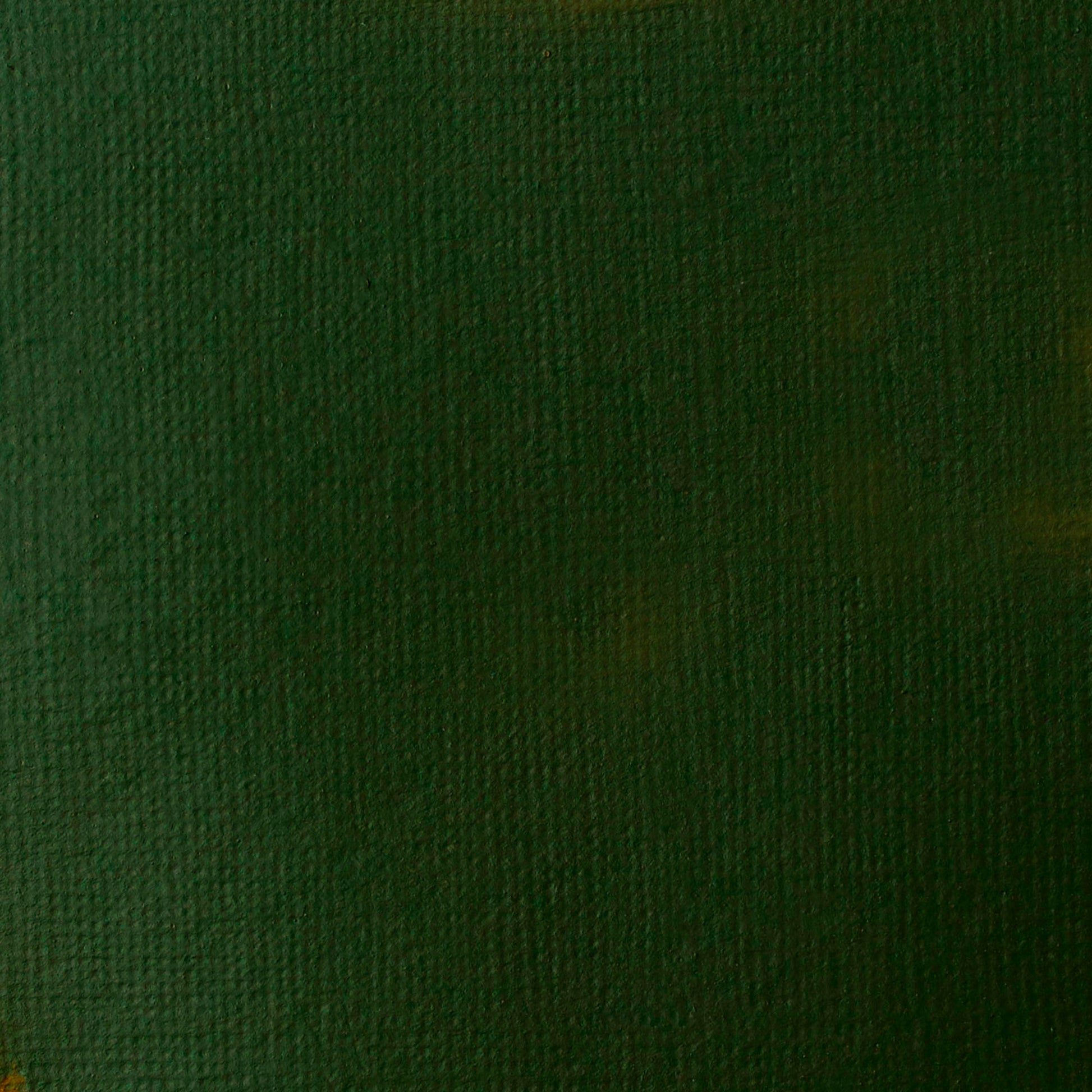 Liquitex Basics Acrylic 118ml Hooker's Green