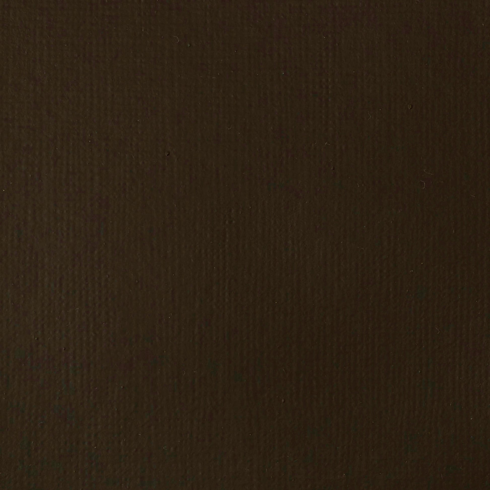 Liquitex Basics Acrylic 118ml Raw Umber