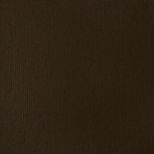 Liquitex Basics Acrylic 118ml Raw Umber