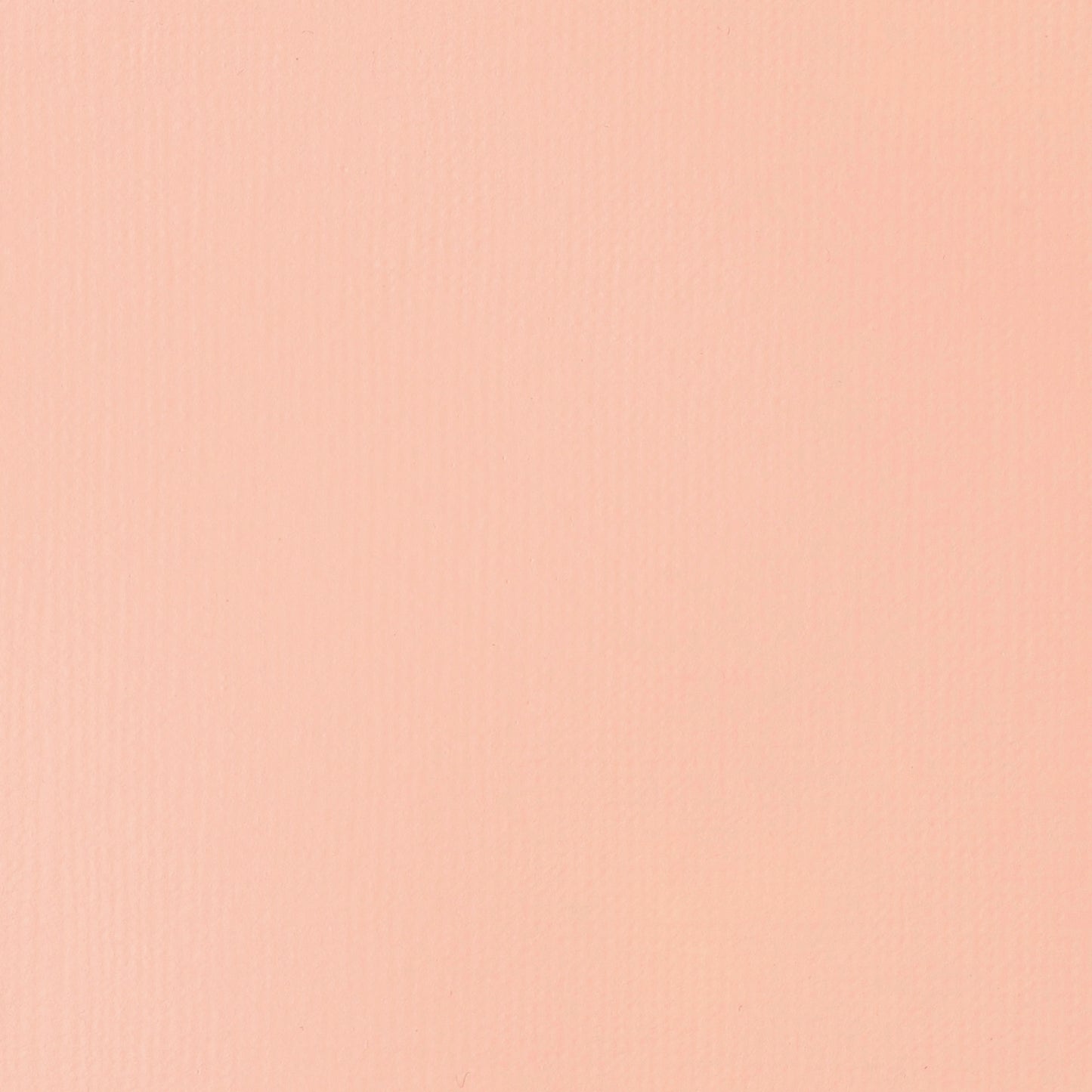 Liquitex Basics Acrylic 118ml Light Pink