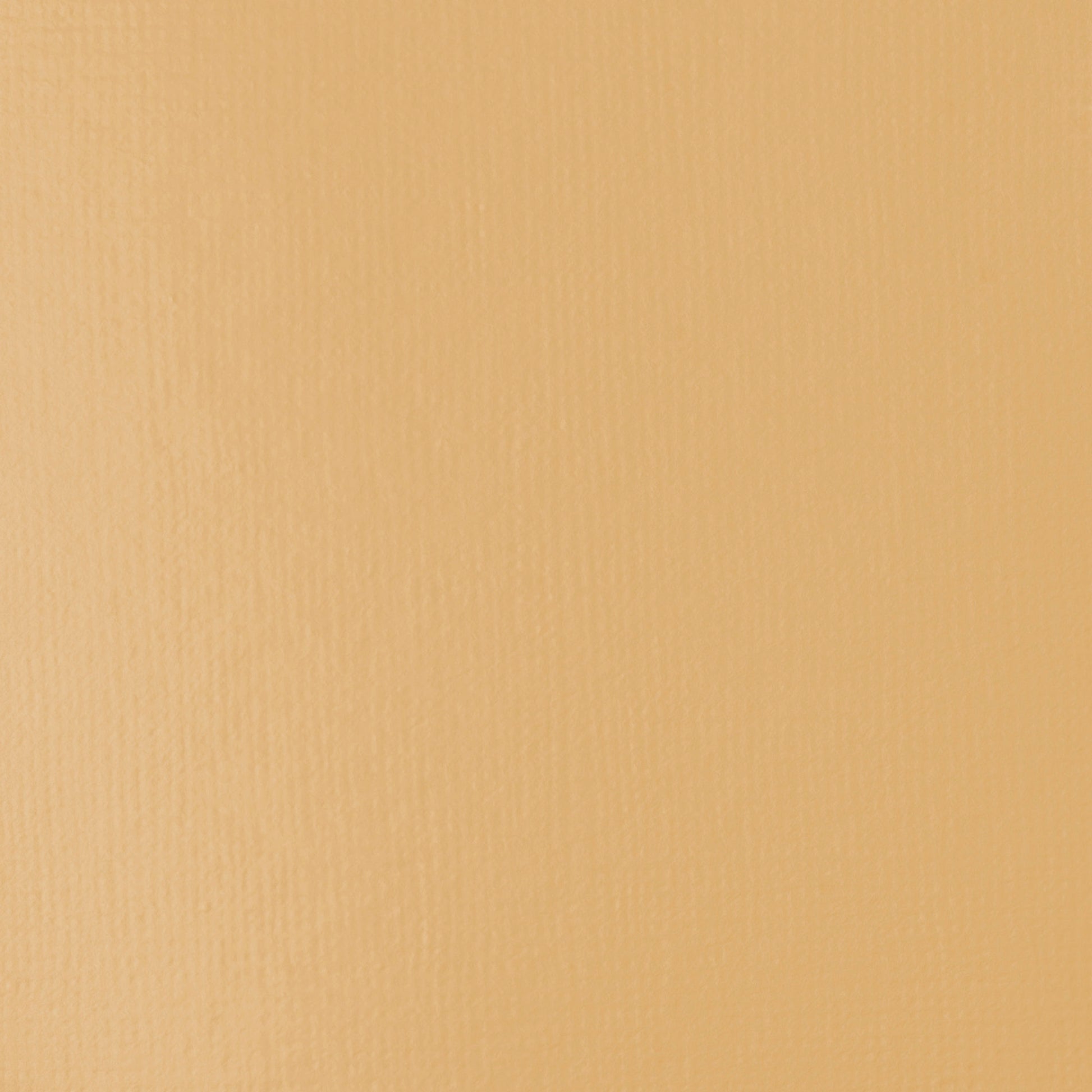 Liquitex Basics Acrylic 118ml Unbleached Titanium