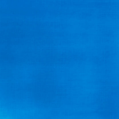 Liquitex Basics Acrylic 118ml Fluro Blue