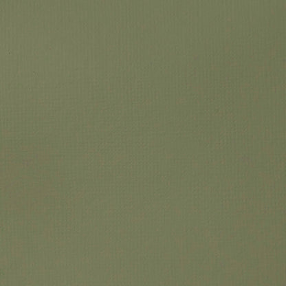 Liquitex Basics Acrylic 118ml Green Gray