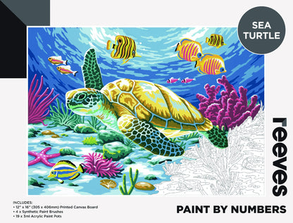 Reeves Paint by Numbers 12x16" Sea Turtle
