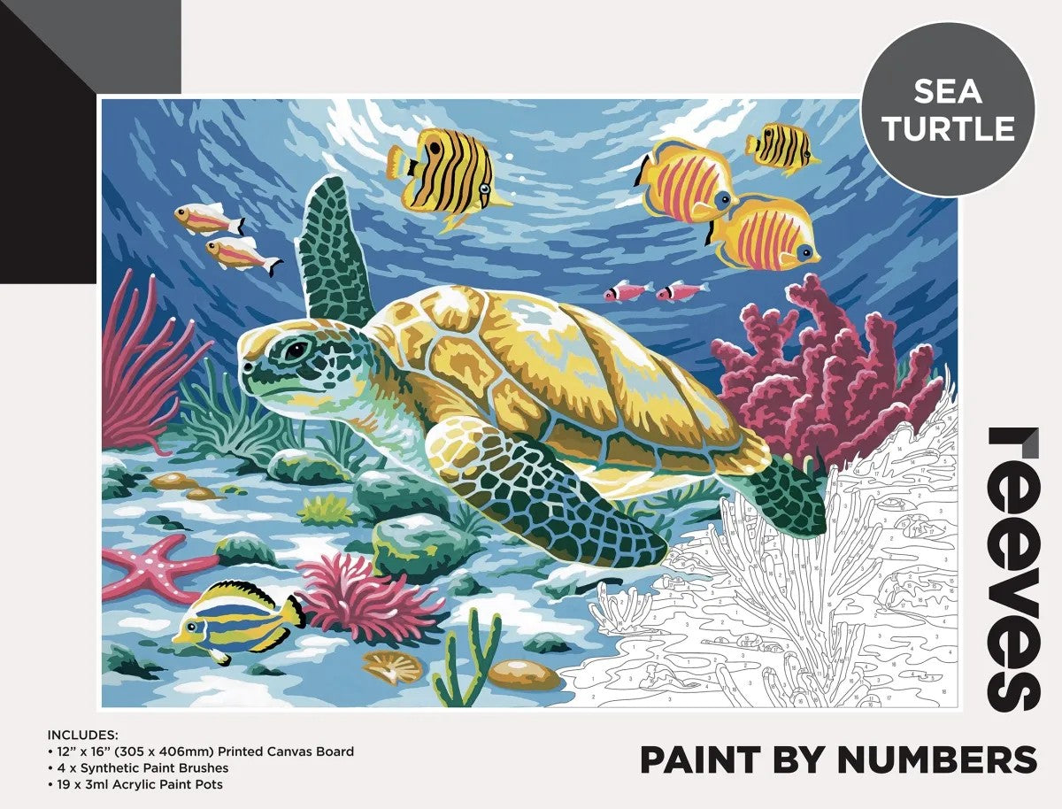 Reeves Paint by Numbers 12x16" Sea Turtle