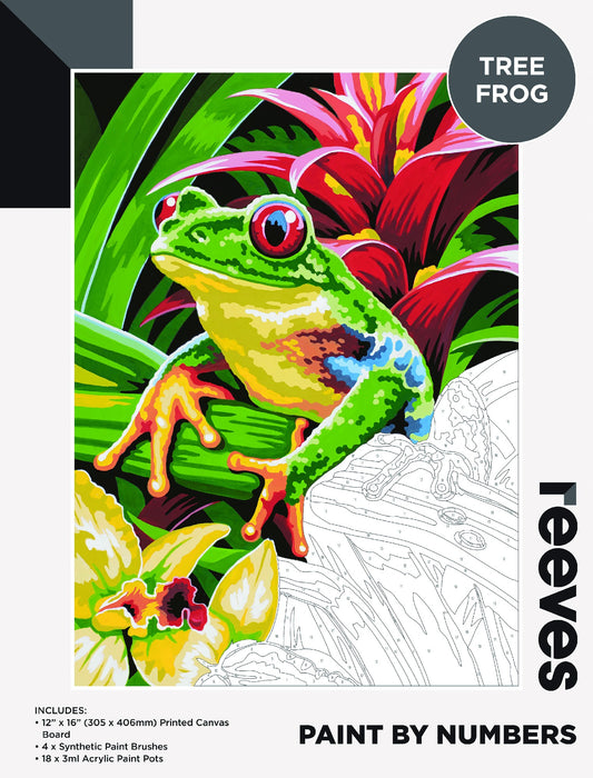 Reeves Paint By Numbers 12X16INCH TREE FROG