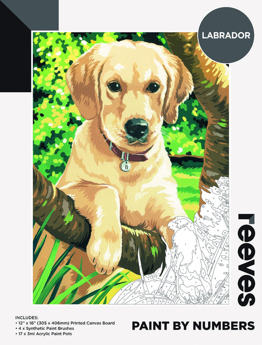 Reeves Paint By Numbers 12X16INCH LABRADOR