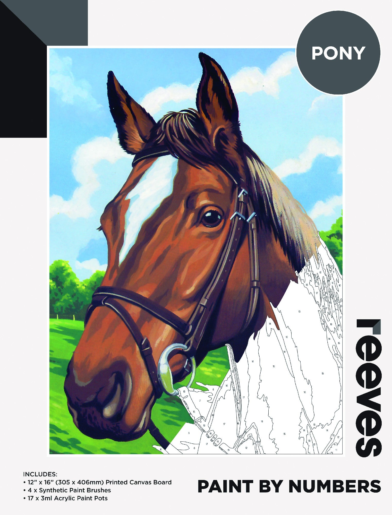 Reeves Paint By Numbers 12X16INCH PONY