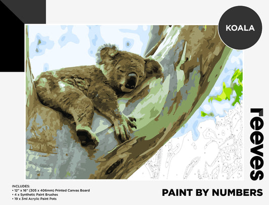 Reeves Paint By Numbers 12X16INCH KOALA