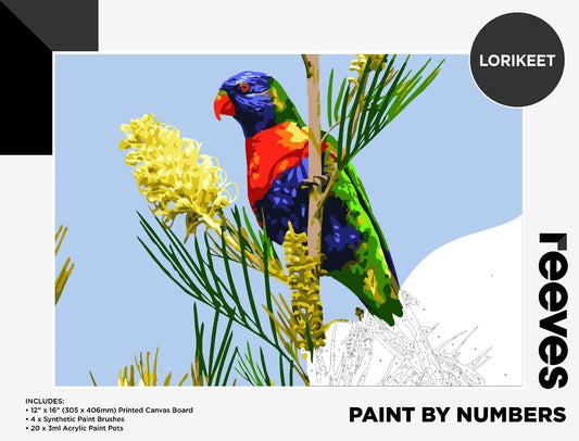 Reeves Paint By Numbers 12X16INCH LORIKEET