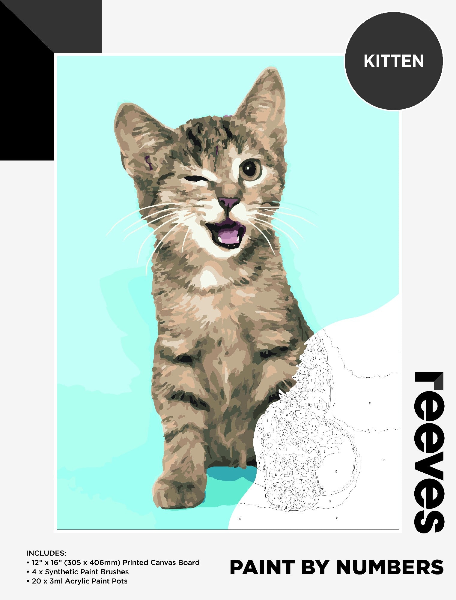 Reeves Paint By Numbers 12X16INCH KITTEN