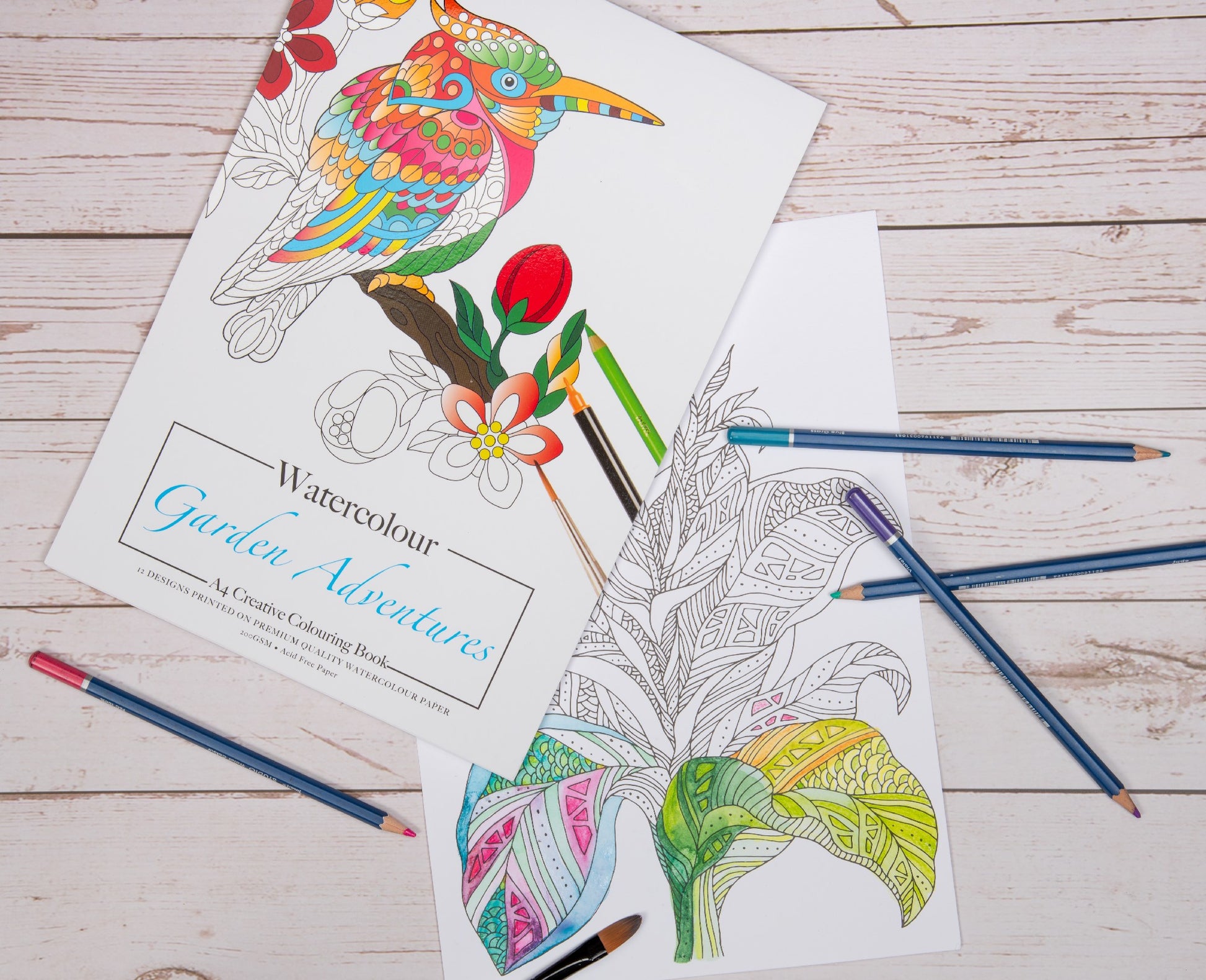 Jasart A4 Adult Colouring Book W/C 12 Sheets Garden Adventures (Fsc Mix Credit)