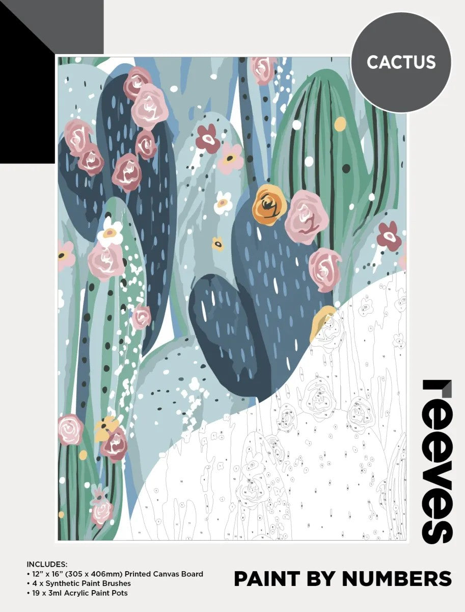 Reeves Paint by Numbers 12x16Inch Cactus