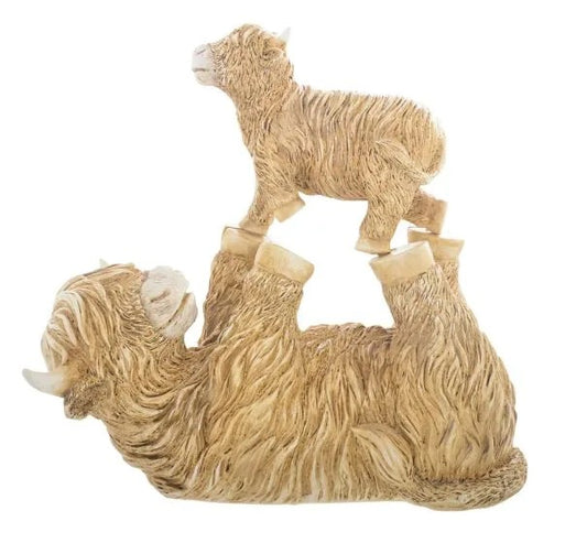 Playful Highland Cow Lge