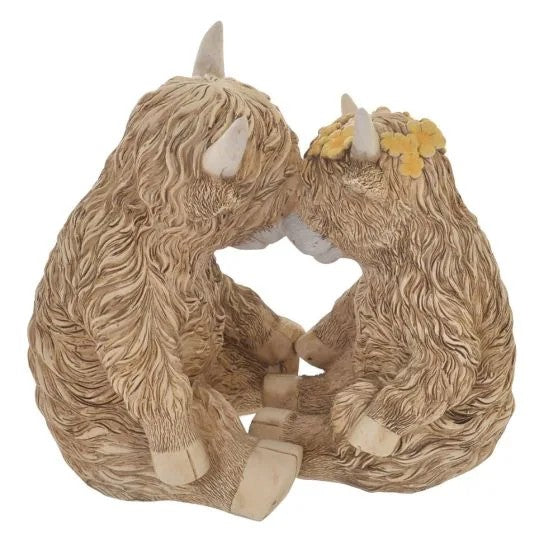 Highland Cow Couple