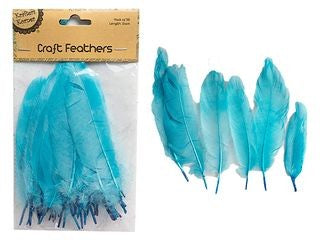 Craft 14cm Blue Feathers/50