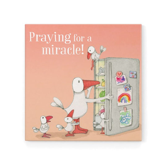 Praying for a miracle! Magnet