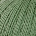 Merino Magic 50g 8ply Green Glade