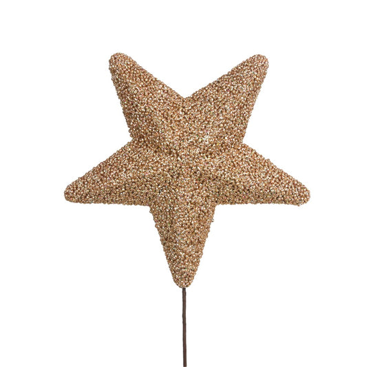 25cm Champagne Sparkly Star W/30cm Stem