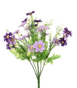 Mini Daisy Bush 30cm Purple