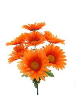 Daisy Bundle Orange