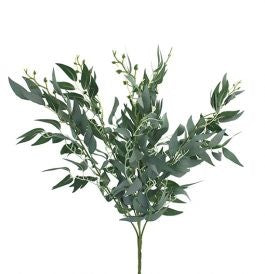 Ruscus Bush 50cm White Green