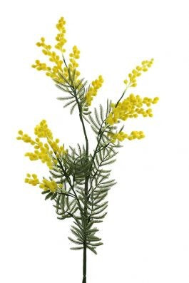 Mimosa Spray 88cm Yellow