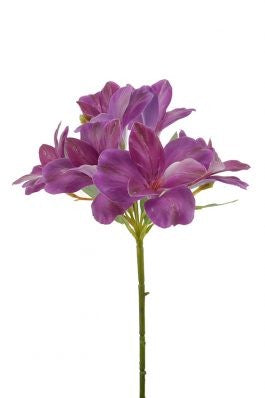 Peruvian Lily Stem 65cm Purple