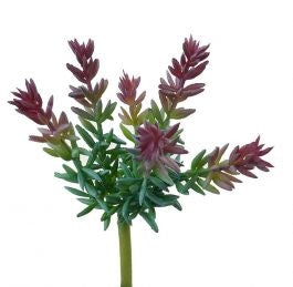 CAMPFIRE SUCCULENT 19CM RED GREEN
