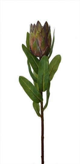 Protea Bud 38cm Purple